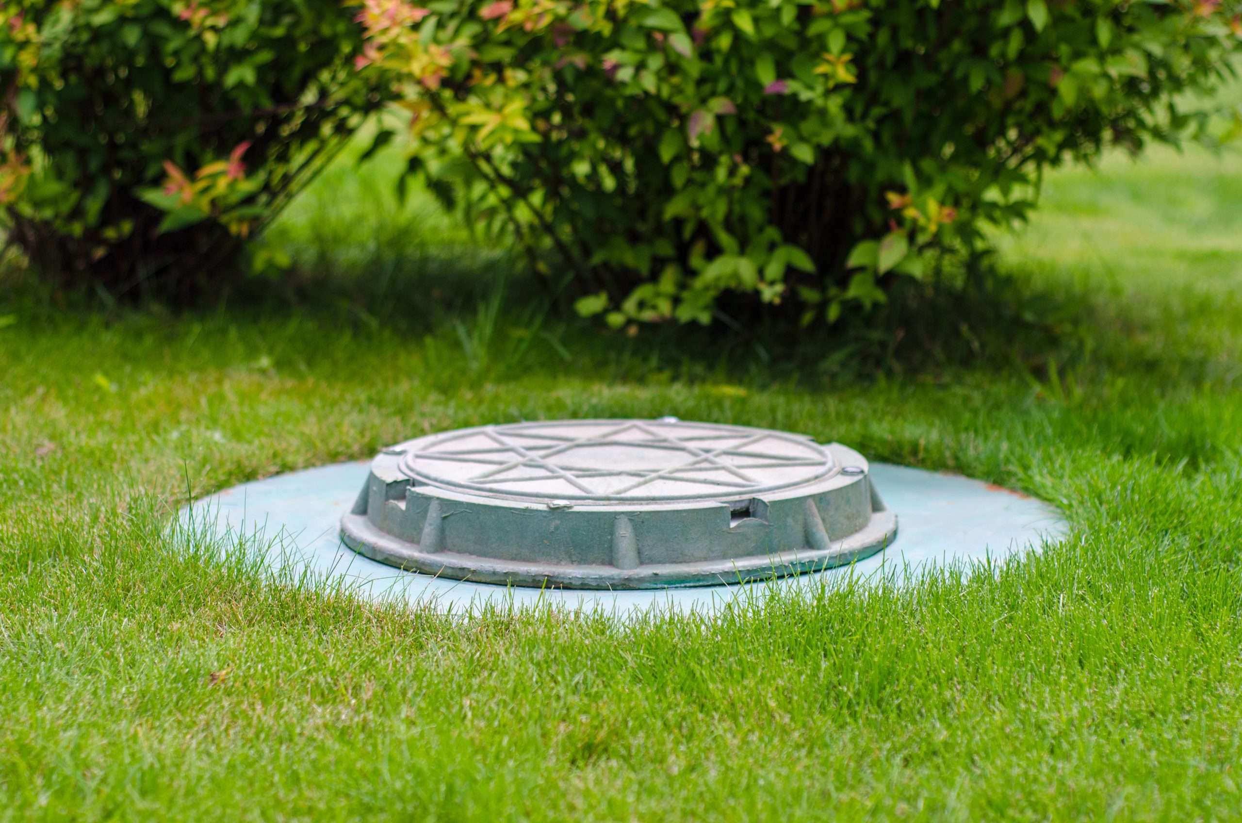 cesspool on the backyard
